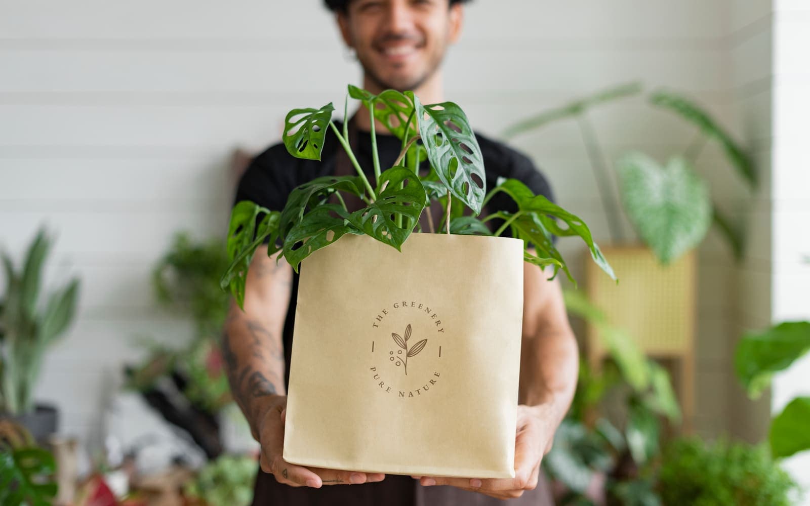 Plantendoos kopen: zo kies je de juiste verpakking
