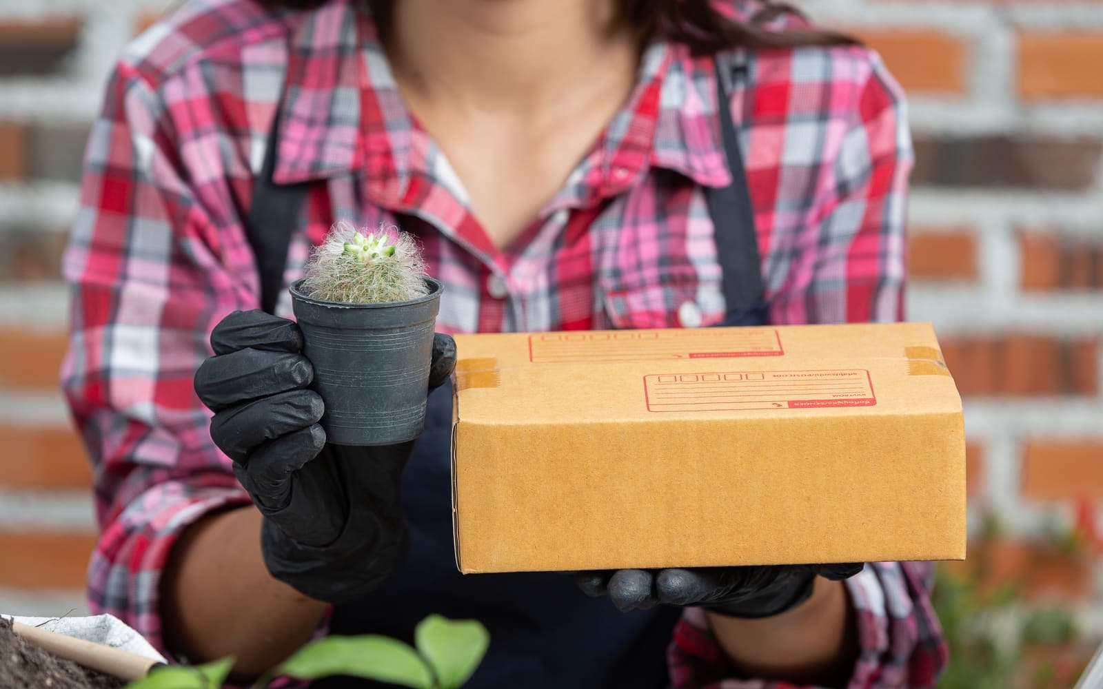 Planten verpakken voor de post: stap‑voor‑stap gids