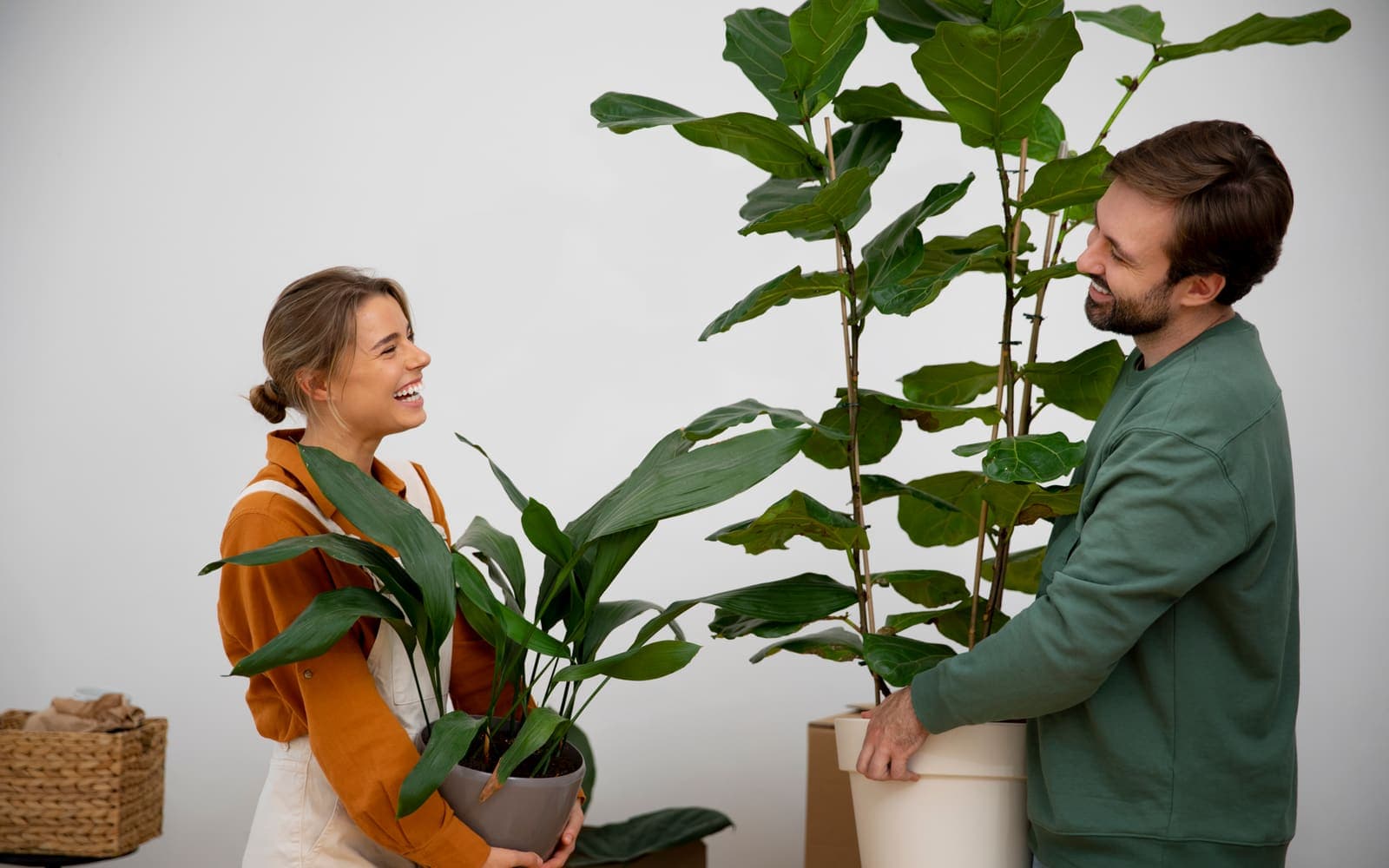 Planten veilig versturen: stappenplan voor thuis en webshop
